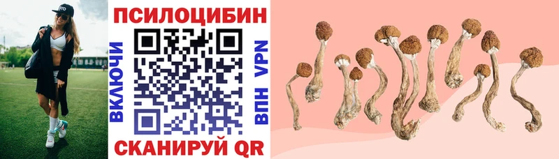 Псилоцибиновые грибы Psilocybine cubensis  Железногорск 
